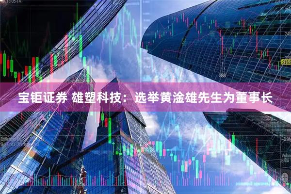 宝钜证券 雄塑科技：选举黄淦雄先生为董事长