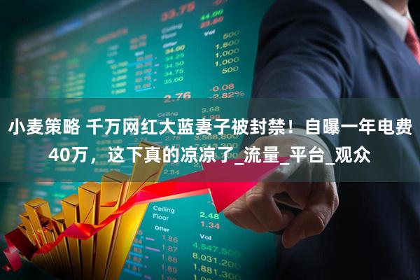 小麦策略 千万网红大蓝妻子被封禁！自曝一年电费40万，这下真的凉凉了_流量_平台_观众