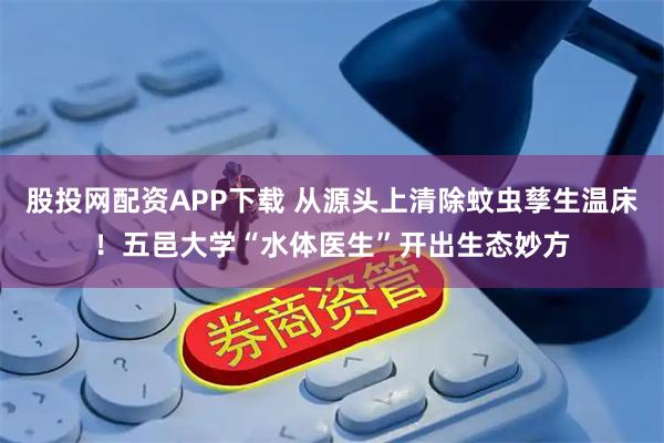 股投网配资APP下载 从源头上清除蚊虫孳生温床！五邑大学“水体医生”开出生态妙方