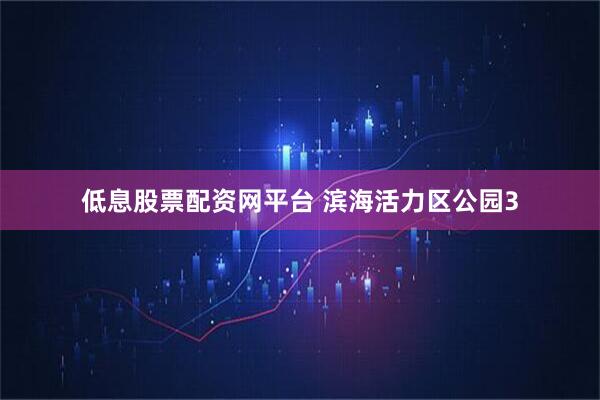低息股票配资网平台 滨海活力区公园3