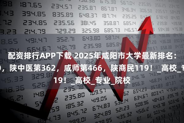 配资排行APP下载 2025年咸阳市大学最新排名：西农第60，陕中医第362，咸师第466，陕商民119！_高校_专业_院校